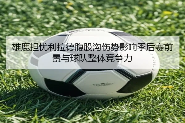 xiong-lu-dan-you-li-la-de-fu-gu-gou-shang-shi-ying-xiang-ji-hou-sai-qian-jing-yu-qiu-dui-zheng-ti-jing-zheng-li-3-933.jpg